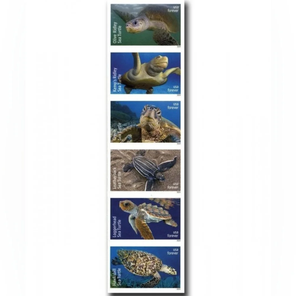90 Protect Sea Turtles Forever Postage Stamps USPS‎ Wedding Invitations 2024